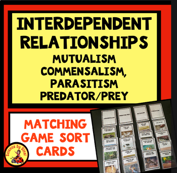 Preview of INTERDEPENDENT ANIMAL RELATIONSHIPS Matching Sort GAME Cards -Symbiosis MS-LS2-2
