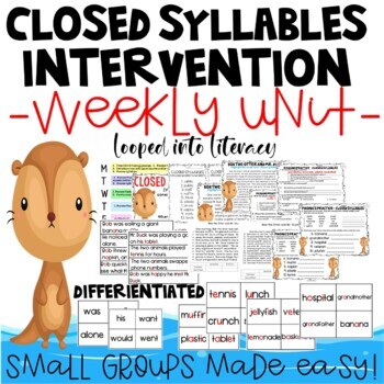 Preview of INTERVENTION SMALL GROUP CLOSED SYLLABLES DIFFERENTIATED FLUENCY DIBEL PASSAGES