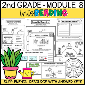 Preview of INTO READING 2ND GRADE HMH MODULE 8