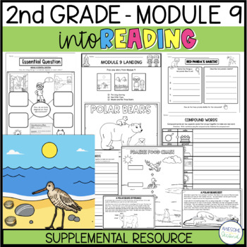 Preview of INTO READING 2ND GRADE HMH MODULE 9