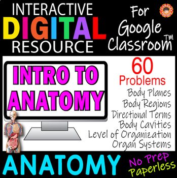 Preview of INTRO TO HUMAN ANATOMY ~Digital Resource for Google Slides~