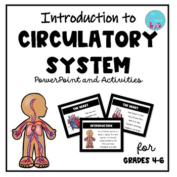 Preview of INTRODUCTION TO THE CIRCULATORY SYSTEM PPT AND ACTIVITIES