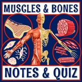 INTRODUCTION to Muscles Bones Musculoskeletal System Notes