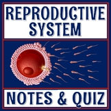 INTRODUCTION to the Reproductive System Notes and Quiz for