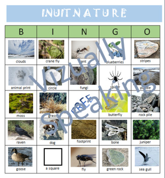 Preview of INUIT NATURE BINGO (lesson plan included)