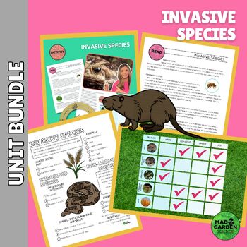 Preview of INVASIVE SPECIES Bundle: Illustrated Notes | Species Sort | Reading | Slides