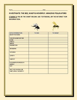 Preview of INVESTIGATE: BEE, WASP & HOVERFLY: A SCIENCE CONTENT KNOWLEDGE ACTIVITY