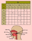 IPA Consonants Chart with Anatomy