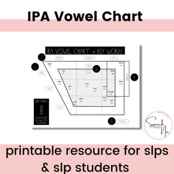 Preview of IPA Vowel Chart for Speech-Language Pathology