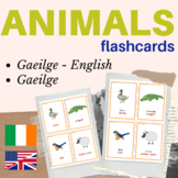 IRISH GAEILGE animals flash cards