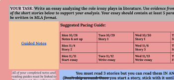 Preview of IRONY ESSAY HYPERDOC-Perfect for self-guided, virtual, or hybrid settings.