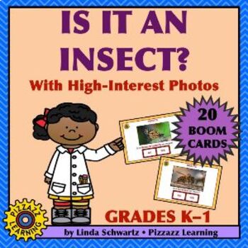 Preview of IS IT AN INSECT?       BOOM CARDS