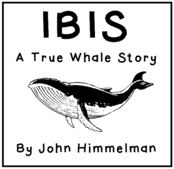 the stories of ibis by hiroshi yamamoto