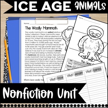 Preview of Ice Age Unit Nonfiction Research Reading Comprehension Passages and Questions