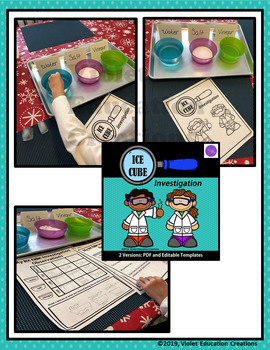 Ice Cube Experiment by Violet Education Creations | TpT