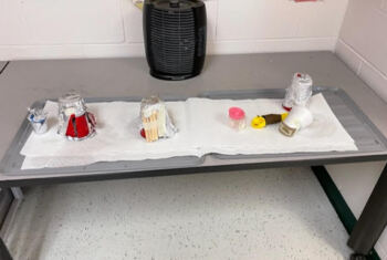 Preview of Ice Cube Insulator Design Challenge