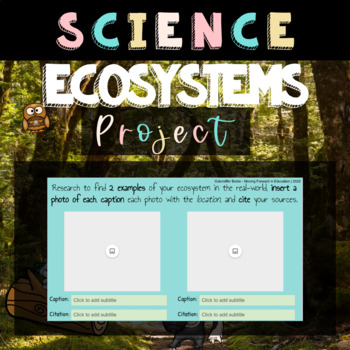 examples of ecosystems projects