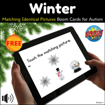 Preview of Identical Matching Winter and Christmas BOOM CARDS™ Autism FREE