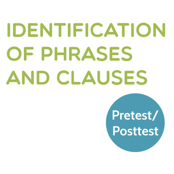 Preview of Grammar: Identification of Phrases and Clauses Pretest/Posttest