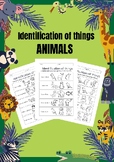 Identification of things : Animal