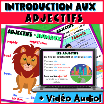 Preview of Identifier les ADJECTIFS Accord Genre et Nombre Affiches VIDÉO Groupe Audio FSL