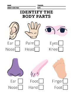 Preview of Identify Body Parts Worksheet