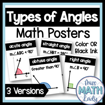 Preview of Four Types of Angles Posters for Middle School Math Classroom