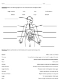 Identify Major Organs and Their Functions (Worksheet)