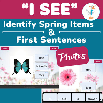Preview of Identify Spring Items & I SEE Sentences Adapted BUNDLE-Designed with Photos