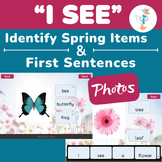 Identify Spring Items & I SEE Sentences Adapted BUNDLE-Des