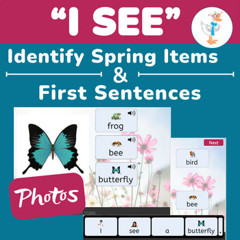 Preview of Identify Spring Items & I SEE Sentences Adapted BUNDLE-Photo Visual Supports