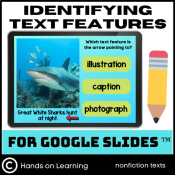 Preview of Identify Text Features for Google Slides
