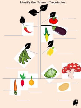 Preview of Identify Vegetables Names