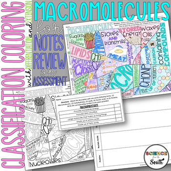 Macromolecules Classification Coloring Page Activity with Differentiation