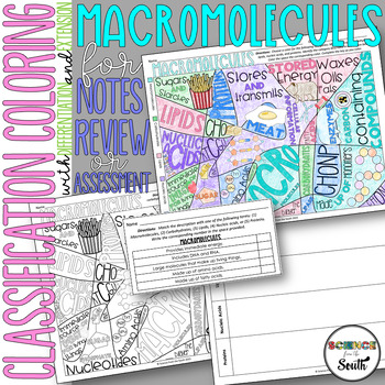 Preview of Macromolecules Classification Coloring Page Activity with Differentiation 