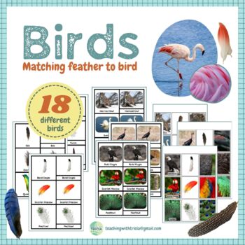 Preview of Identify and Match Bird Feathers- Montessori 3-Part Cards