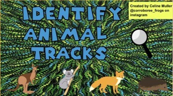 Preview of Identify animal tracks