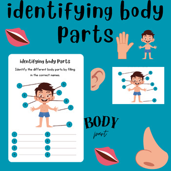 Preview of Identify the Body Parts Worksheet - Fun and Engaging  Activity for Kids