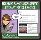 Identify the Irony - Cartoon Practice Worksheet with Answer Key