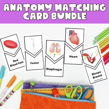 Preview of Identifying Anatomy Matching Cards Bundle