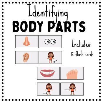 Preview of Identifying Body Parts Flash Cards