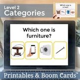 Identifying Categories 2 Printable and Boom Cards Speech T