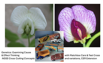 Preview of Identifying Cause & Effect in Genetics, Mini Matchbox Car Experiment NGSS CCC