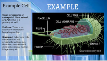 Preview of Identifying Cell Types CER 