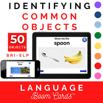 Preview of Identifying Common Objects (F:2) BOOM CARDS™
