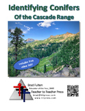 Identifying Conifers of the Cascade Range