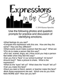 Identifying Emotions: Expressions in the City