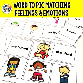 Preview of Identifying Feelings and Emotions Word to Picture Matching