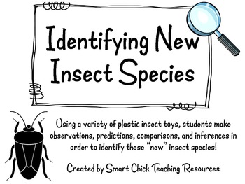 Preview of Identifying New or Unknown Insect Species ~ Classification Lab