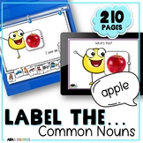 Identifying Nouns - Expressive Vocabulary activities and A